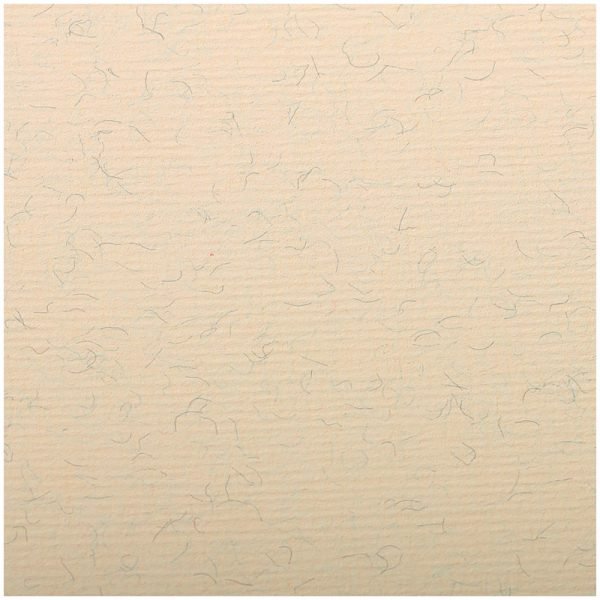 Бумага для пастели 25л. 500*650мм Clairefontaine "Ingres", 130г/м2, верже, хлопок, мраморный крем