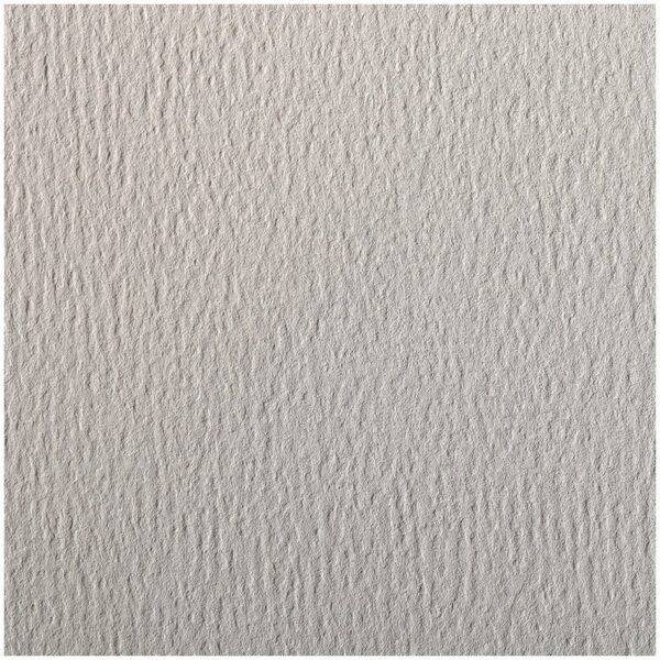 Цветная бумага 500*650мм., Clairefontaine "Etival color", 24л., 160г/м2, светло-серый, легкое зерно, хлопок