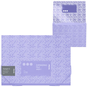 Папка на резинке, 12 отделений Berlingo "Starlight S" A4, 230*335*35мм, 700мкм, фиолетовая, c рисунком