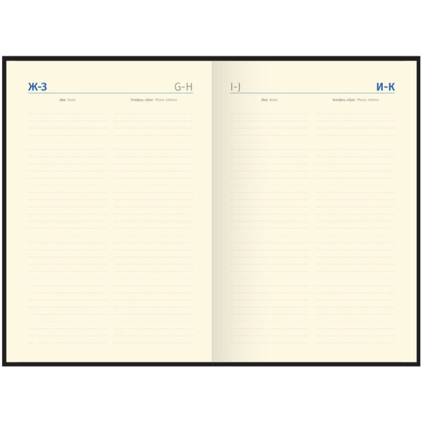 Ежедневник недатированный, A5, 160л., кожа, Delucci, гладкая кожа, зол. срез
