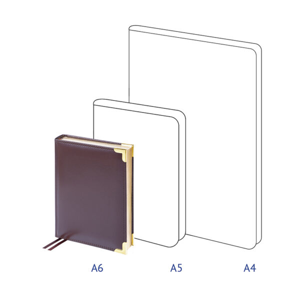 Ежедневник недатированный, A6, 160л., кожа, Delucci, гладкая кожа, зол. срез