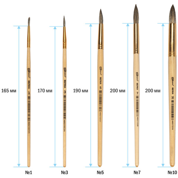 Набор кистей ArtSpace 6шт., белка, круглые, № 1, 3, 5, 7, 9, 11, блистер