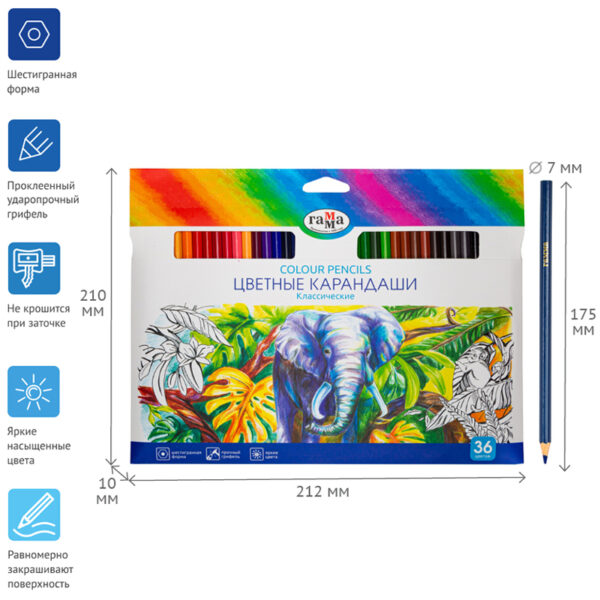 Карандаши цветные Гамма "Классические", 36цв., заточен., картон. упак., европодвес