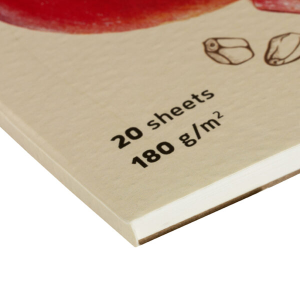 Скетчбук для акварели 20л., 190*190 ArtSpace "Fruits", на склейке, 180г/м2