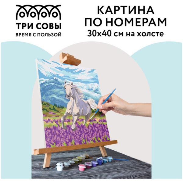 Картина по номерам на холсте ТРИ СОВЫ "Свобода", 30*40, с акриловыми красками и кистями
