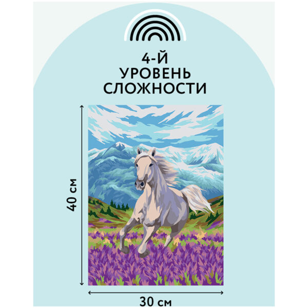 Картина по номерам на холсте ТРИ СОВЫ "Свобода", 30*40, с акриловыми красками и кистями