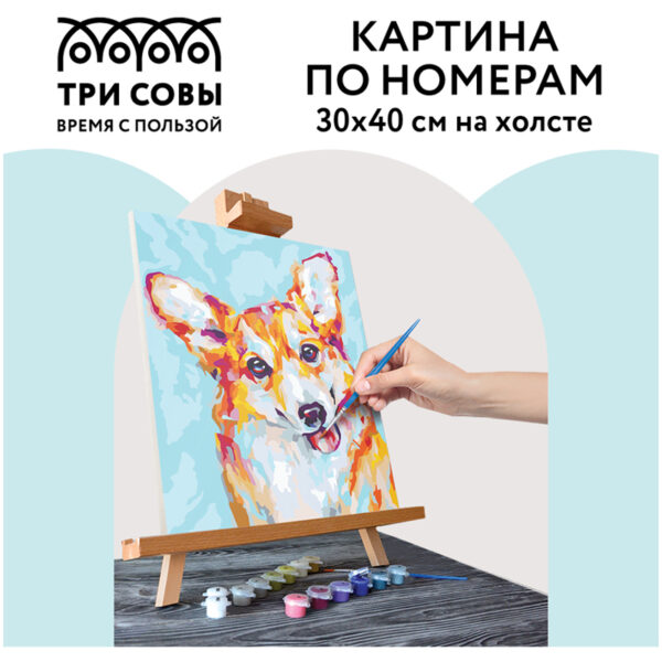Картина по номерам на холсте ТРИ СОВЫ "Корги", 30*40, с акриловыми красками и кистями