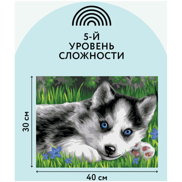 Картина по номерам на картоне ТРИ СОВЫ "Голубоглазый пушистик", 30*40, с акриловыми красками и кистями