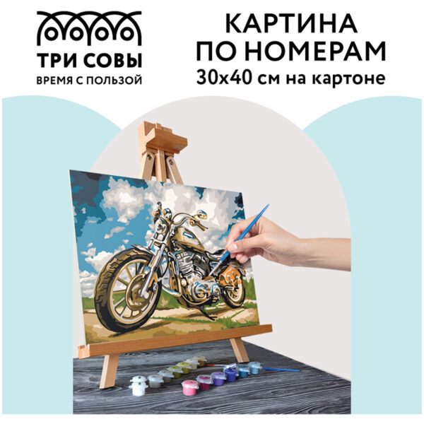 Картина по номерам на картоне ТРИ СОВЫ "На скорости", 30*40, с акриловыми красками и кистями