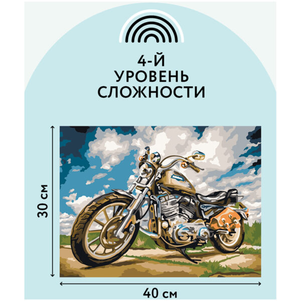 Картина по номерам на картоне ТРИ СОВЫ "На скорости", 30*40, с акриловыми красками и кистями