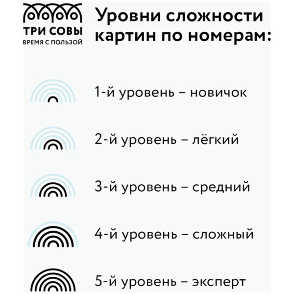 Картина по номерам на холсте ТРИ СОВЫ "Волшебство взгляда", 40*50, с акриловыми красками и кистями