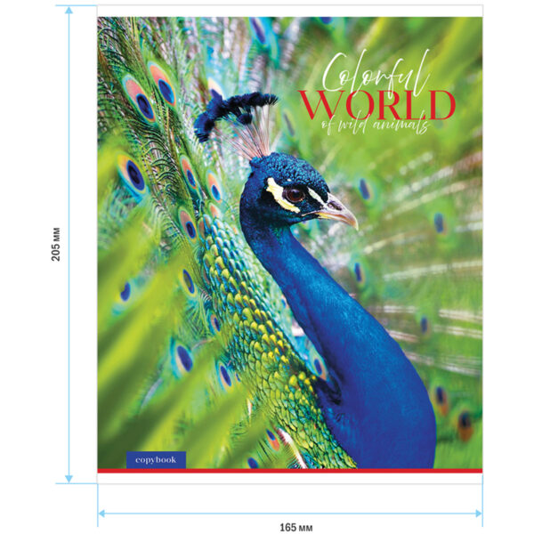 Тетрадь 48л., А5, клетка ArtSpace "Животные. Colorful world", суперэконом