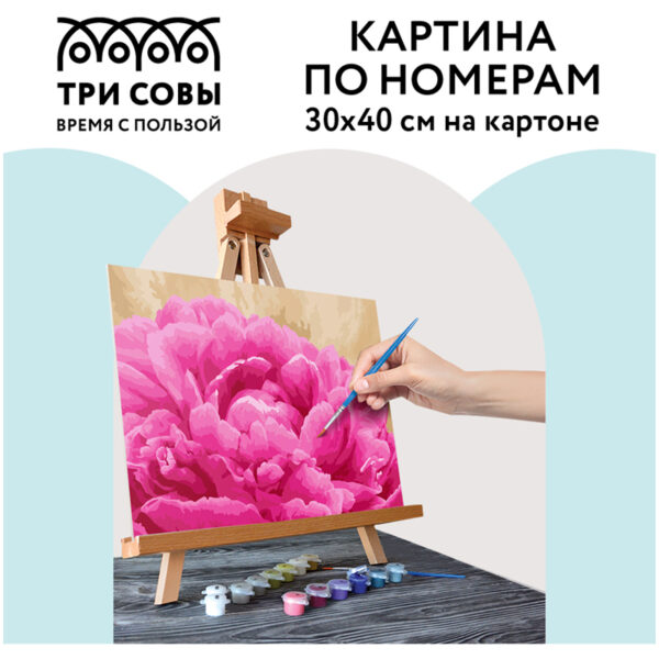 Картина по номерам на картоне ТРИ СОВЫ "Пион", 30*40, с акриловыми красками и кистями