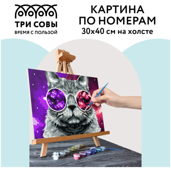 Картина по номерам на холсте ТРИ СОВЫ "Кошачий космос", 30*40, с акриловыми красками и кистями