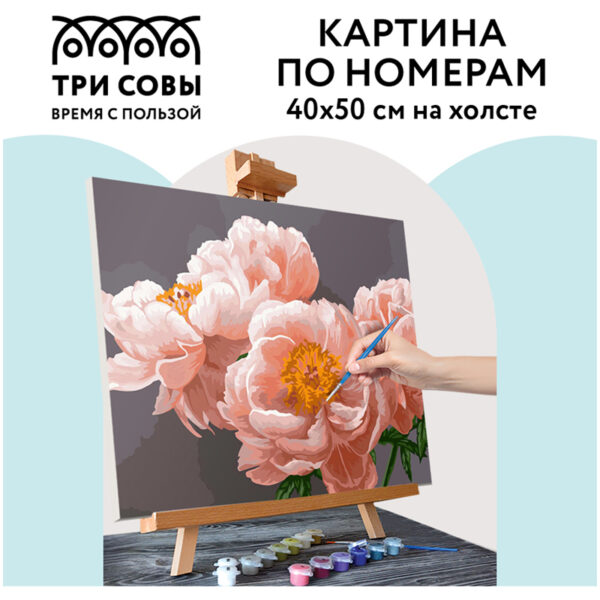 Картина по номерам на холсте ТРИ СОВЫ "Нежность", 40*50, с акриловыми красками и кистями
