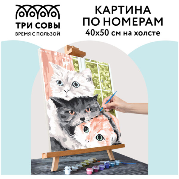 Картина по номерам на холсте ТРИ СОВЫ "Друзья", 40*50, с акриловыми красками и кистями