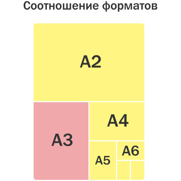 Папка для чертежей и рисунков А3 ArtSpace "Листья", пластик, на молнии