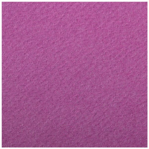 Цветная бумага 500*650мм, Clairefontaine "Etival color", 24л., 160г/м2, фиолетовый, легкое зерно, 30%хлопка, 70%целлюлоза