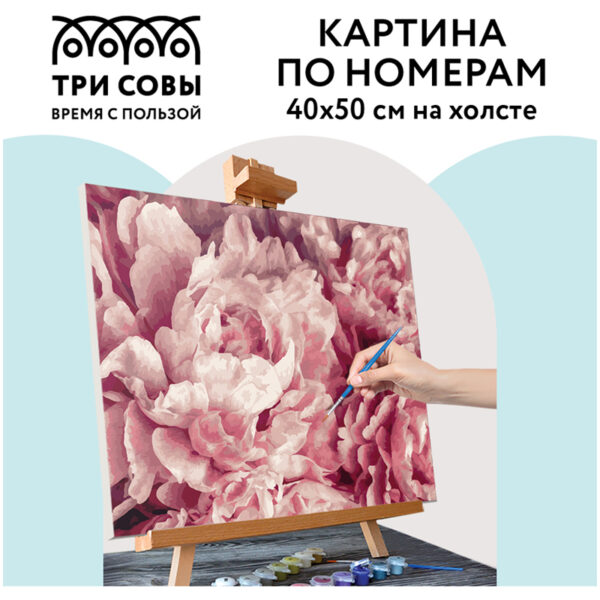Картина по номерам на холсте ТРИ СОВЫ "Нежные пионы", 40*50, с акриловыми красками и кистями