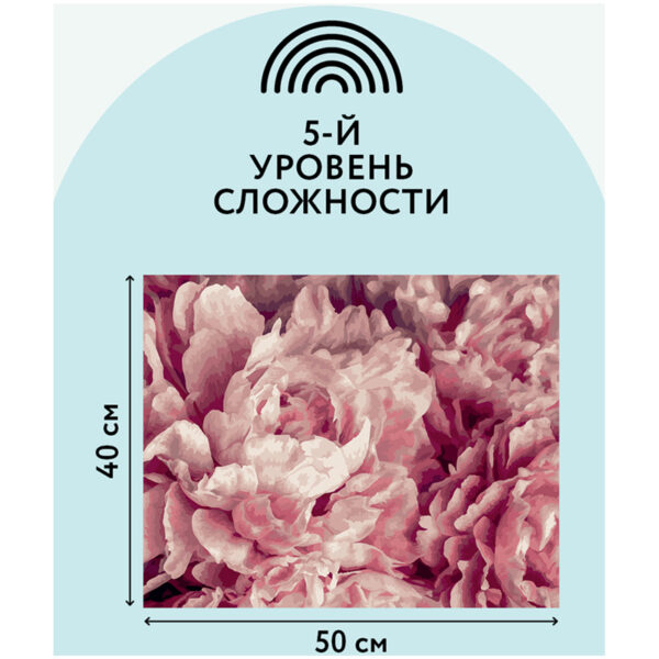 Картина по номерам на холсте ТРИ СОВЫ "Нежные пионы", 40*50, с акриловыми красками и кистями