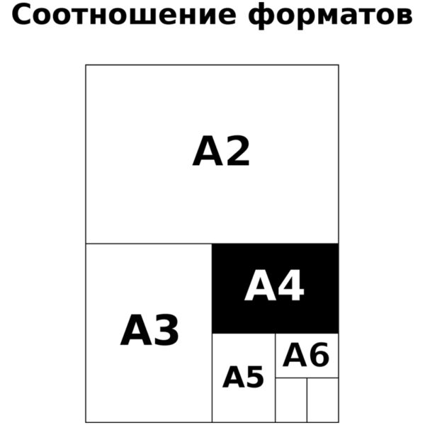 Альбом для рисования 24л., А4, на скрепке BG "Cats&Cats"