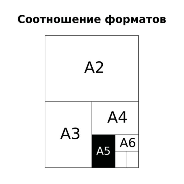 Тетрадь 48л., А5, клетка на гребне BG "Simply urban"