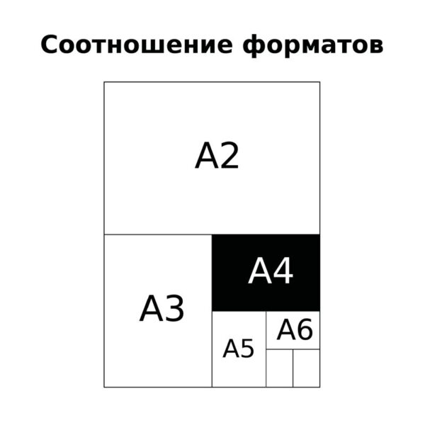 Тетрадь 48л., А4, клетка BG "Monocolor. 48"