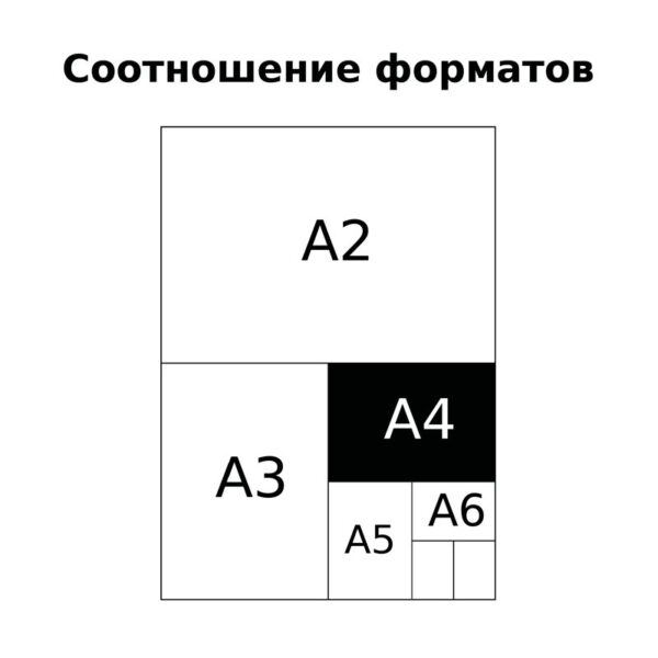 Тетрадь 80л., А4, линия BG "Monocolor. Letters"