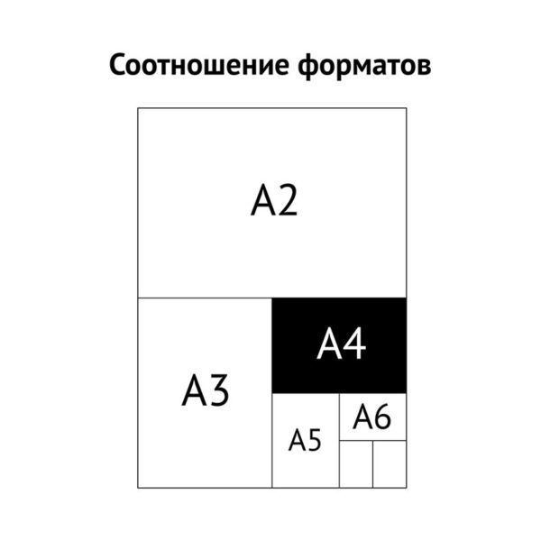 Папка 13 отделений OfficeSpace, А4, 500мкм, на резинке, индексные разделители, пластик, черная