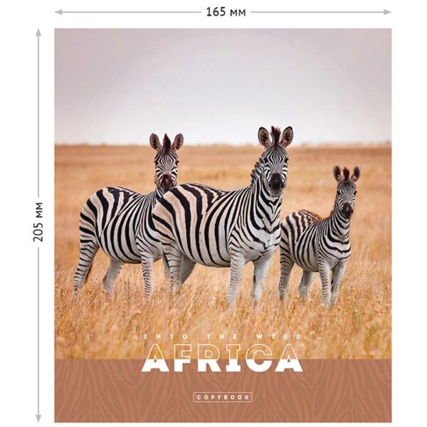 Тетрадь 96л., А5, клетка ArtSpace "Животные. Nature of Africa", суперэконом