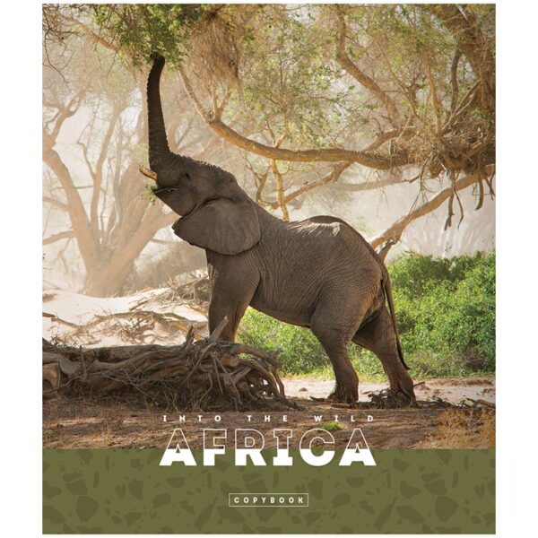 Тетрадь 96л., А5, клетка ArtSpace "Животные. Nature of Africa", суперэконом