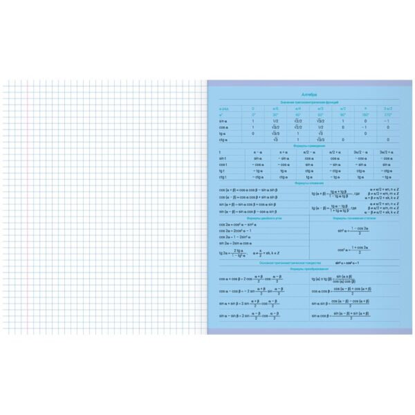Тетрадь предметная 48л. MESHU "Ученый MISHKA" - Алгебра, матовая ламинация, выборочный УФ-лак, тиснение фольгой