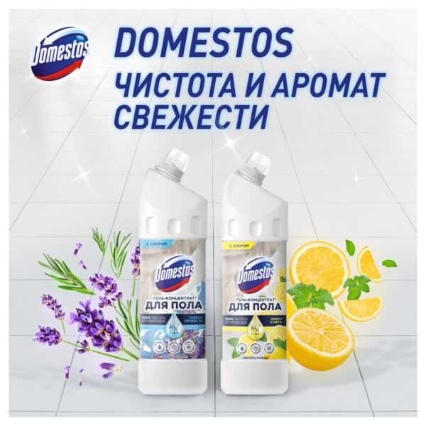 Средство для мытья полов Domestos "Чистота и блеск. Лимон и мята", гель, концентрат, с хлором, 1л