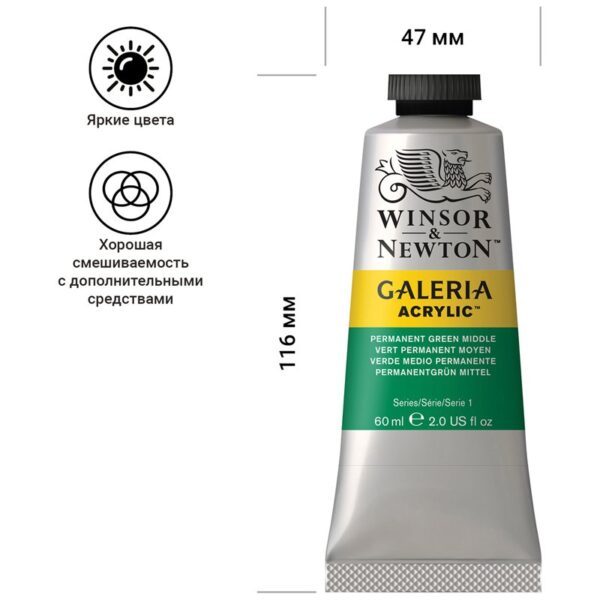 Краска акриловая художественная Winsor&Newton "Galeria", 60мл, туба, перманентный зеленый, средний