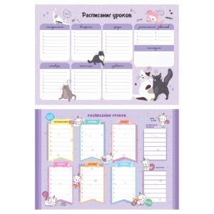 Расписание уроков с расписанием звонков А3 ArtSpace "Пиши-стирай. Милый кот"