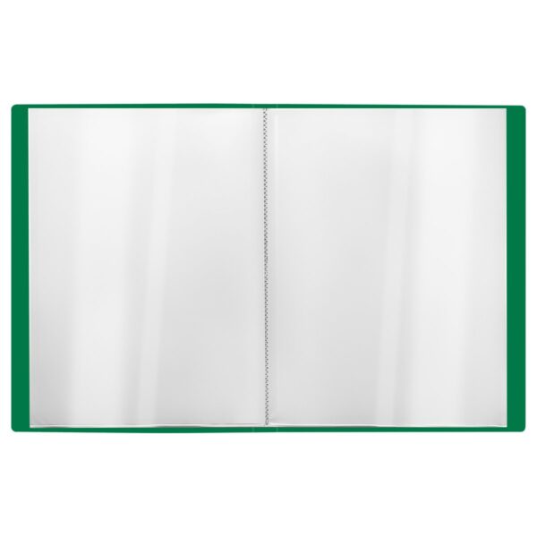 Папка с 60 вкладышами СТАММ "Стандарт" А4, 21мм, 700мкм, пластик, зеленая
