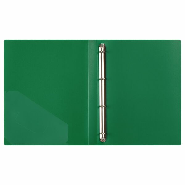 Папка на 4 кольцах СТАММ "Стандарт" А4, 25мм, 700мкм, пластик, зеленая