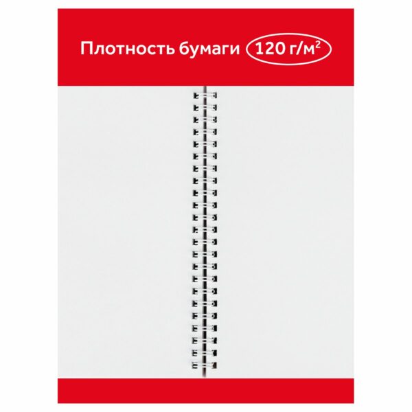 Альбом для рисования 32л., А4, на гребне Гамма "Мультики", 120г/м2