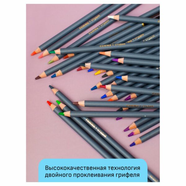 Карандаши акварельные художественные Гамма "Студия", 12цв., заточен., картон. упаковка