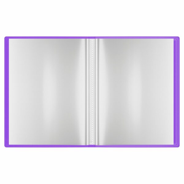 Папка с 10 вкладышами Berlingo "Envy", 17мм, 700мкм, с внутр. карманом, фиолетовая