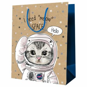 Пакет подарочный 11*14*6,5см MESHU "Космический кот", крафт