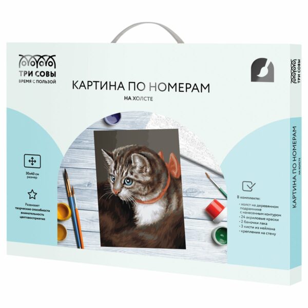 Картина по номерам на холсте ТРИ СОВЫ "Любимая кошка", 30*40, с акриловыми красками и кистями