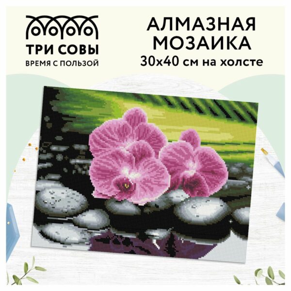 Алмазная мозаика ТРИ СОВЫ "Орхидеи на камнях", 30*40см, холст, картонная коробка с пластиковой ручкой