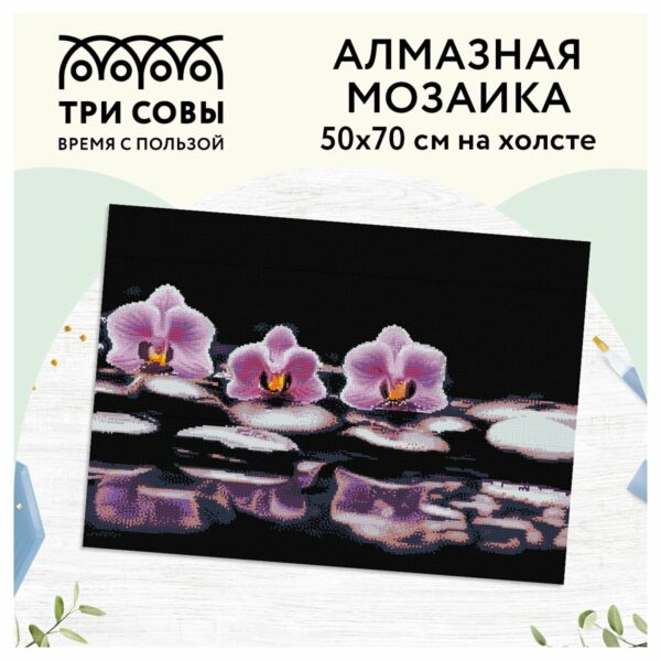 Алмазная мозаика ТРИ СОВЫ "Орхидеи", 50*70см, холст, картонная коробка с пластиковой ручкой