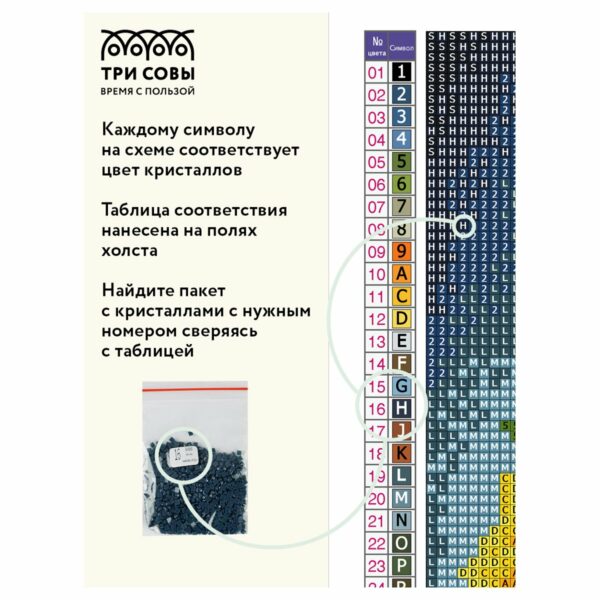 Алмазная мозаика ТРИ СОВЫ "Сова", 30*40см, холст, картонная коробка с пластиковой ручкой