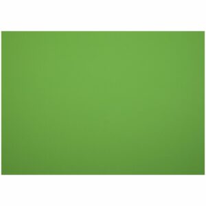 Картон плакатный 48*68см, Мульти-Пульти, 10л., мелованный в пакете, зеленый, 380г/м2