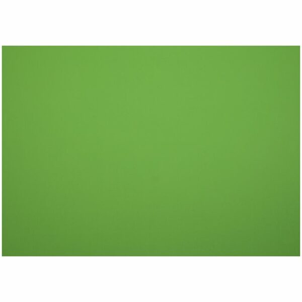 Картон плакатный 48*68см, Мульти-Пульти, 10л., мелованный в пакете, зеленый, 380г/м2