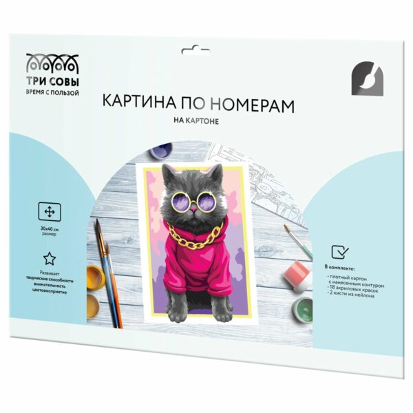 Картина по номерам на картоне ТРИ СОВЫ "Стильный кот", 30*40, с акриловыми красками и кистями