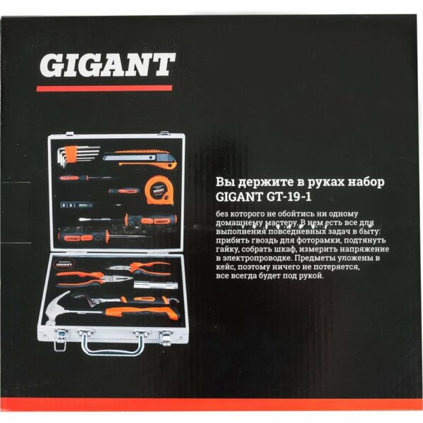 Набор инструментов Gigant GT-19-1