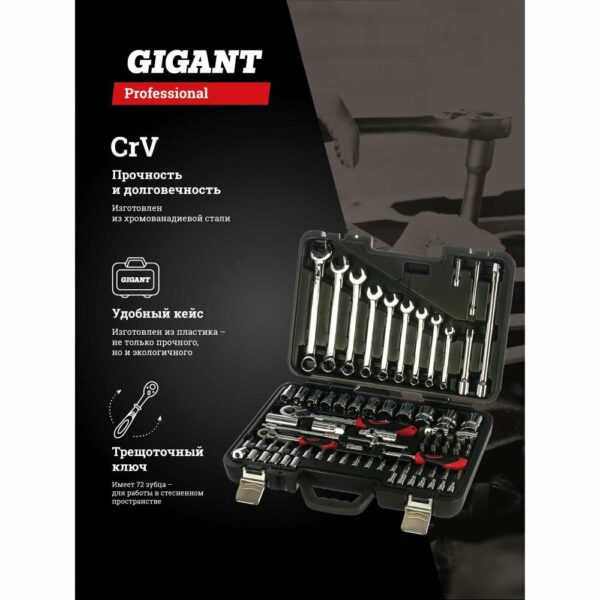 Набор инструментов Gigant Professional